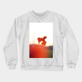 Poppy Flower at Sunset Crewneck Sweatshirt